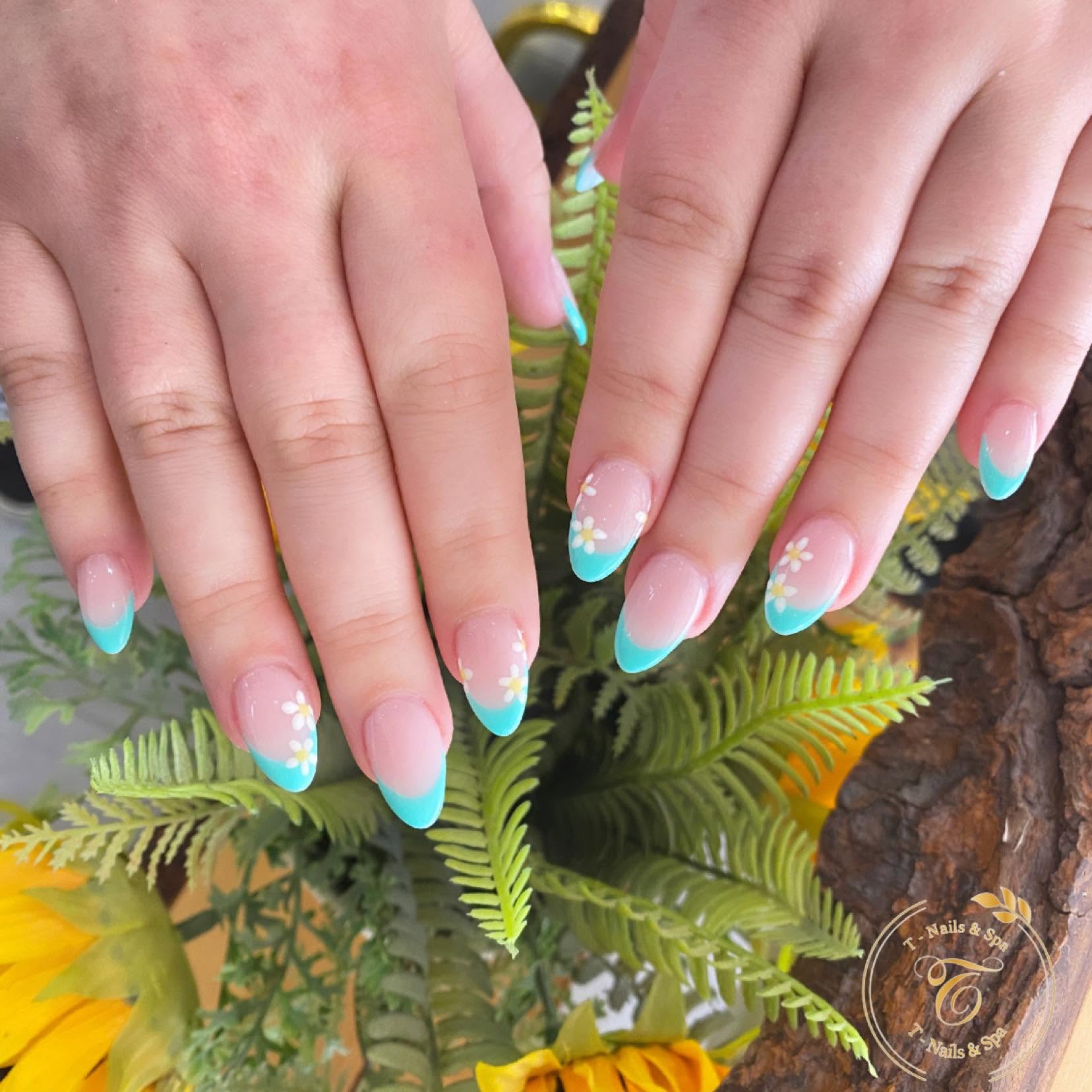 T Nails and Spa